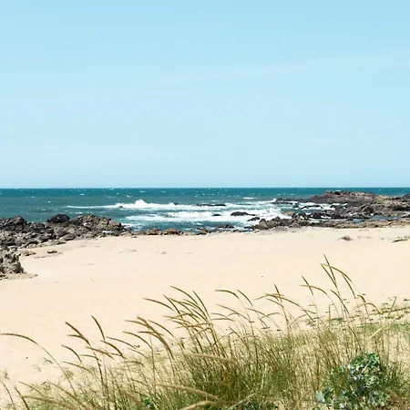 Oporto City And Beach Apartment Lavra