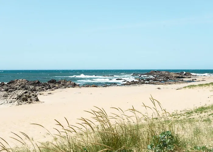 Oporto And Apartman Lavra