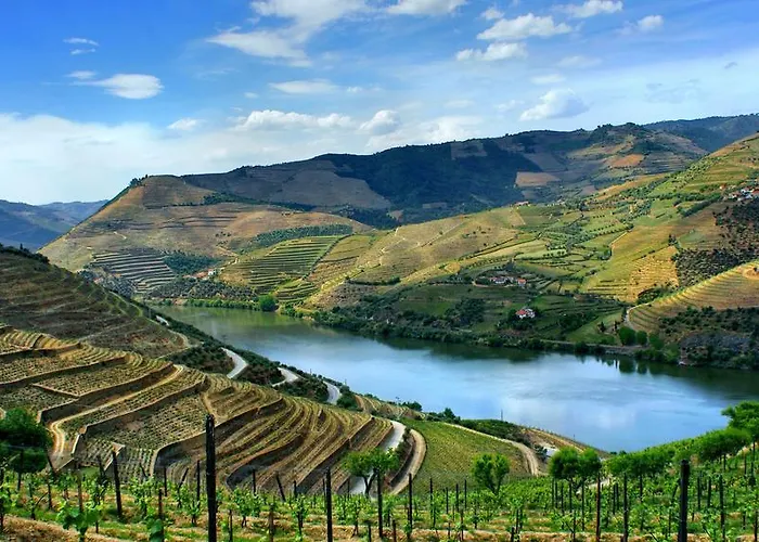 Oporto And Apartman *